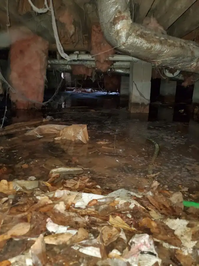 Crawl space flood assessment for Leak Detection & Repair in New Kingman-Butler